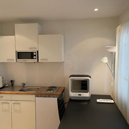 City Apartments Bad Sackingen Bagian luar foto